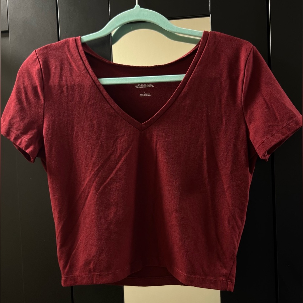 Wild Fable Deep Red V-Neck Crop Top